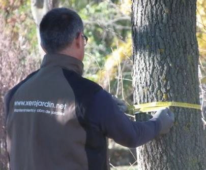 Control de plagas y enfermedades en Madrid